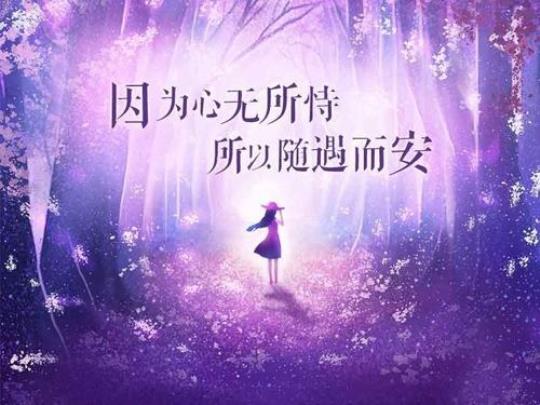 关于随遇而安的的优美句子大全 随遇而安的优美句子