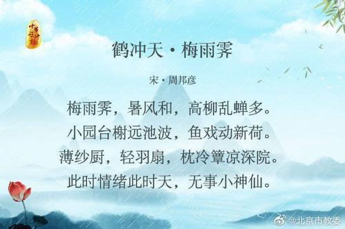 关于雨的诗句和意识合集(实用) 形容全局意识的诗句