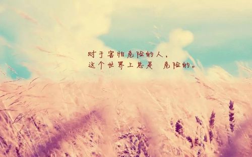 关于暖心感悟句子说说心情短语大全 暖心的一碗面感悟