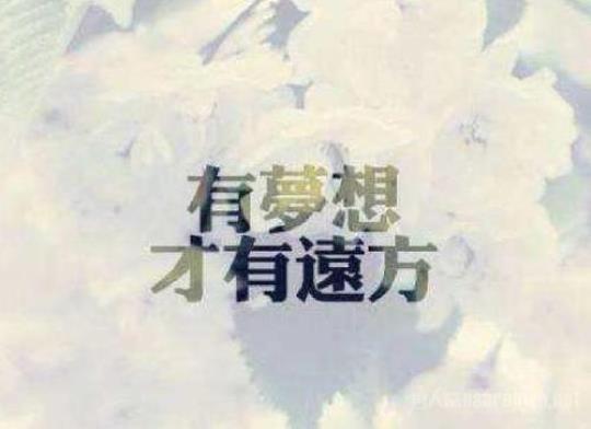 关于形容坚持心情句子说说心情大全 关于形容坚持的成语