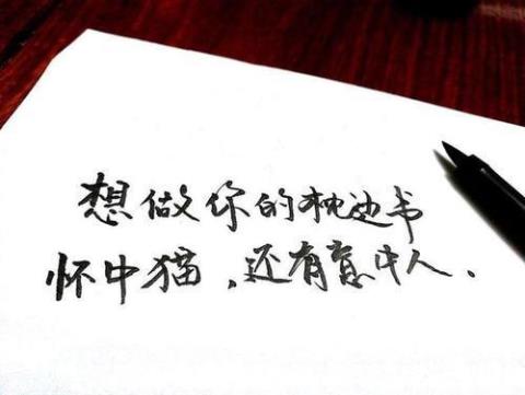 关于思想优美句子是大全 关于思想的优美说法