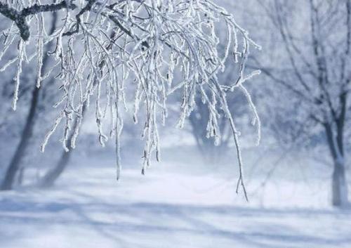冬雪和春雪的诗句