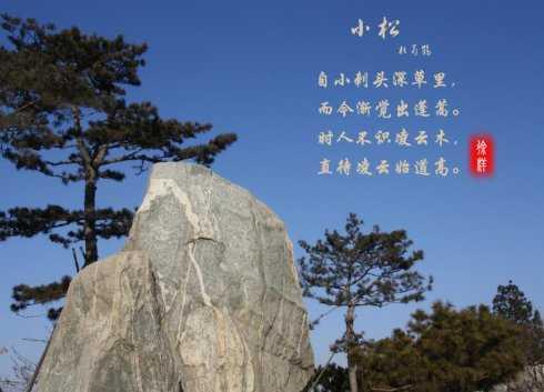 关于形容幽静偏僻的古诗句合集(实用) 形容幽静的成语