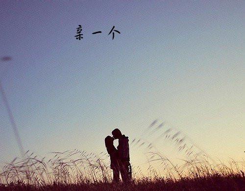 关于形容伴侣相知的诗句合集(实用) 形容伴侣的词语