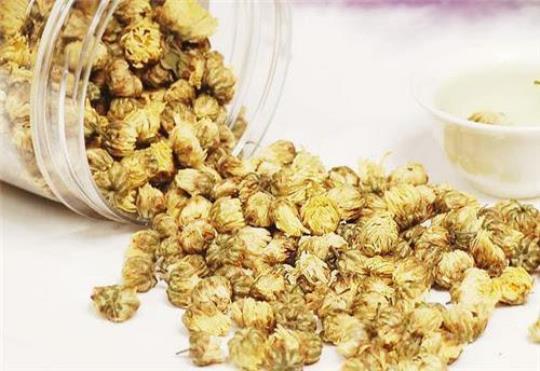 菊花不能和什么一起吃