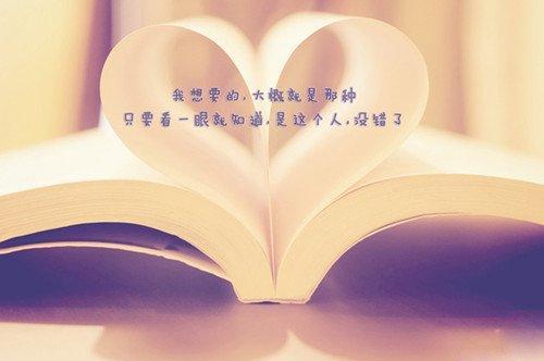 关于爱情的唯美句子