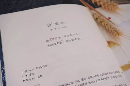 关于呼噜的诗句合集(实用)