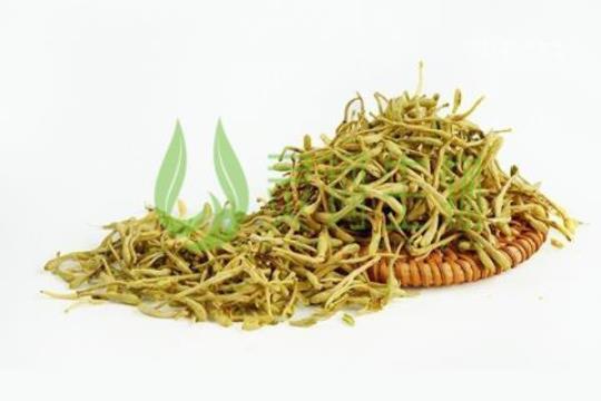 金银花和枸杞泡水喝的功效