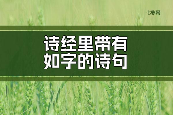 诗经里带有如字的诗句