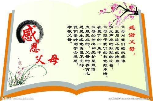 关于懂得孝敬父母的优美句子大全 我懂得了孝敬父母作文450字