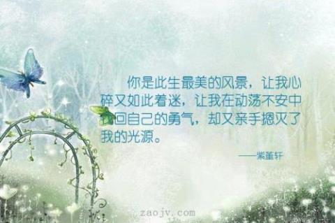 关于赞美青叶的优美句子大全