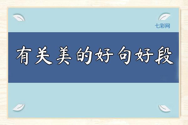 有关美的好句好段