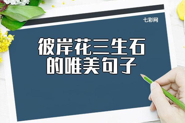关于“彼岸花三生石”的唯美句子