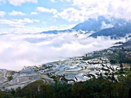 重庆出发到罗平,普者黑,坝美,元阳梯田自驾车线路