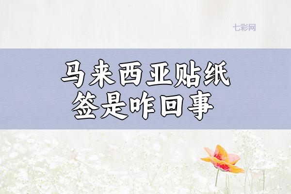 马来西亚贴纸签是咋回事