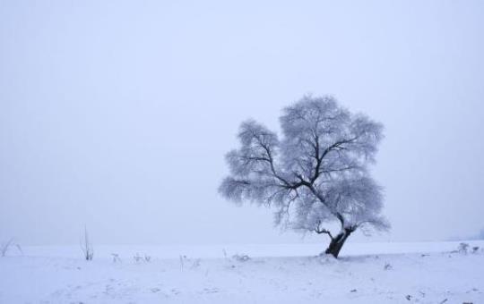 关于描写北方的唯美句子大全 关于描写北方雪景的古诗句