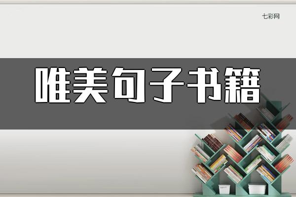 唯美句子书籍