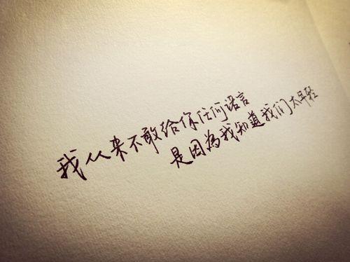 关于歌词中唯美的句子大全 歌词唯美的歌