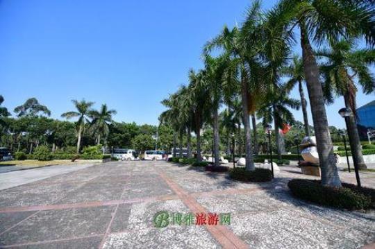 广州五日游怎样分配时间游玩景区
