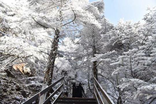 轿子雪山旅游专线客车（带你畅游雪山风光）
