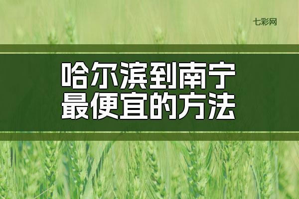 哈尔滨到南宁最便宜的方法