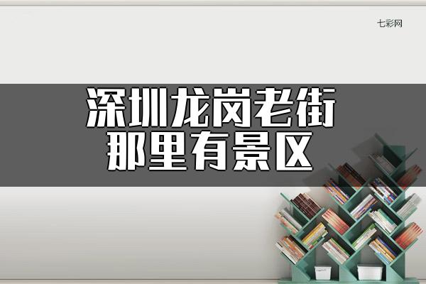 深圳龙岗老街那里有景区？