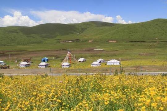 川西草原自驾游攻略（玩转川西草原，快乐自驾之旅）