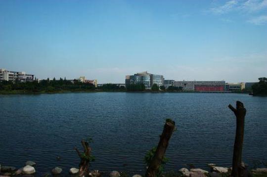 四川大学江安校区校园风景欣赏
