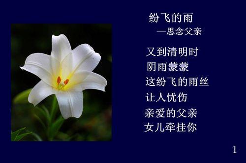 想念父母的唯美句子