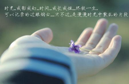 赞美水优美句子