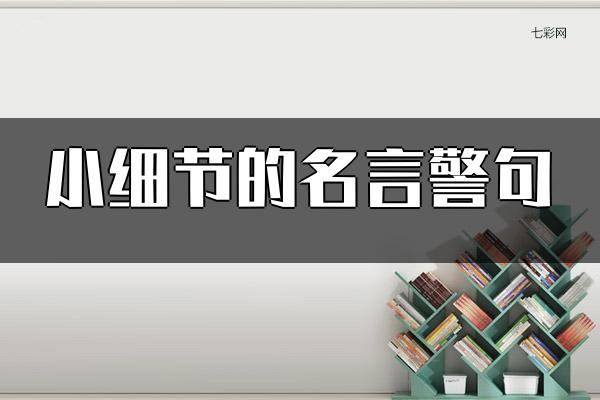 小细节的名言警句