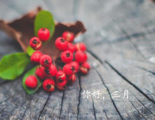 三月再见说说唯美句子