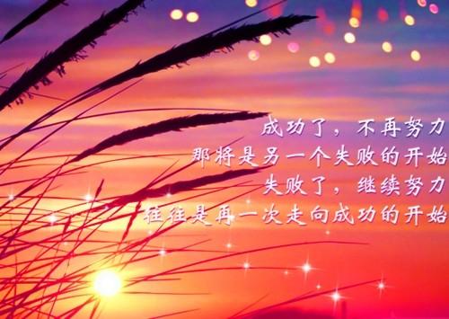 关于奋斗的唯美短句子大全 关于奋斗的唯美散文
