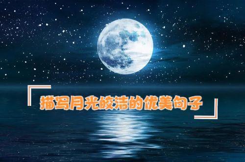 关于月光的唯美句子50字大全 关于月光唯美的句子