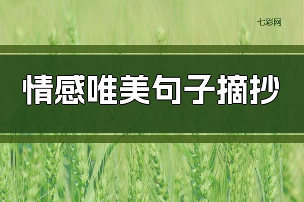 情感唯美句子摘抄
