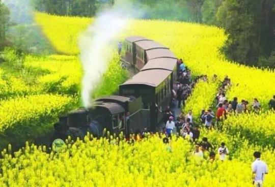 3月旅游的最佳地点推荐
