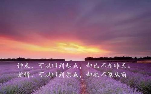 关于与心灵的唯美句子大全 关于心灵唯美句子