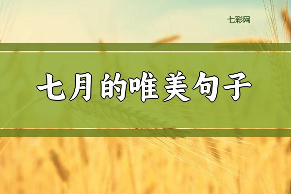 关于七月的唯美句子