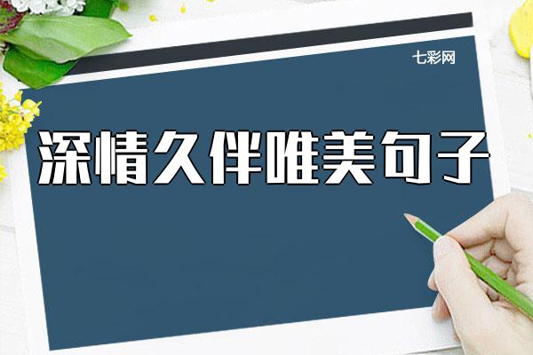 深情久伴唯美句子
