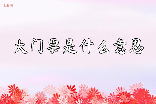 大门票是什么意思