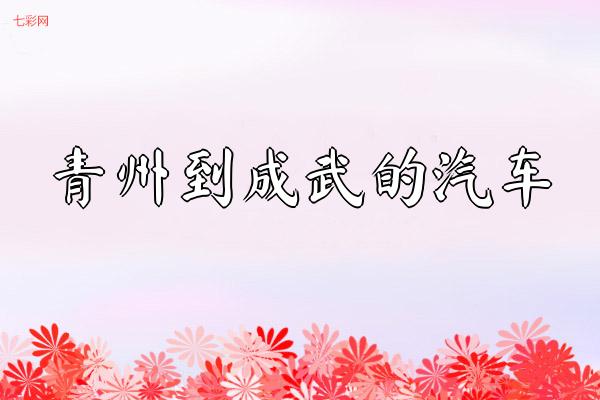青州到成武的汽车？