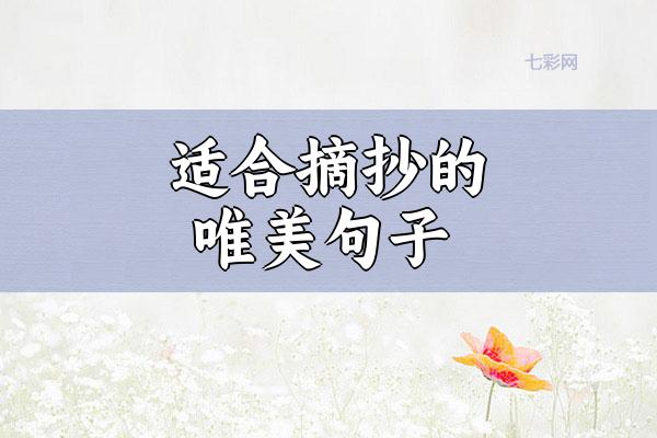 适合摘抄的唯美句子