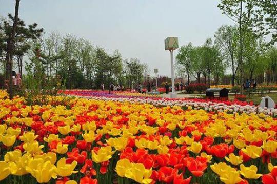 绿博园是什么地方？