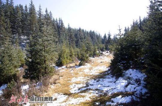 焉支是什么？