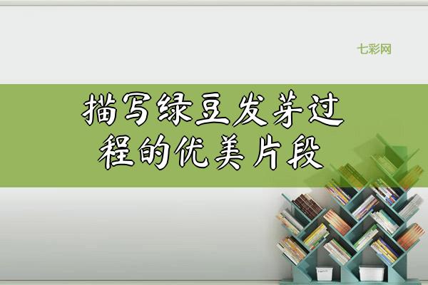 描写绿豆发芽过程的优美片段