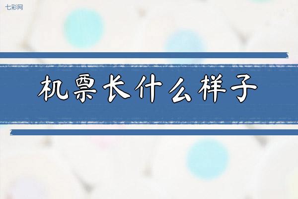 机票长什么样子？