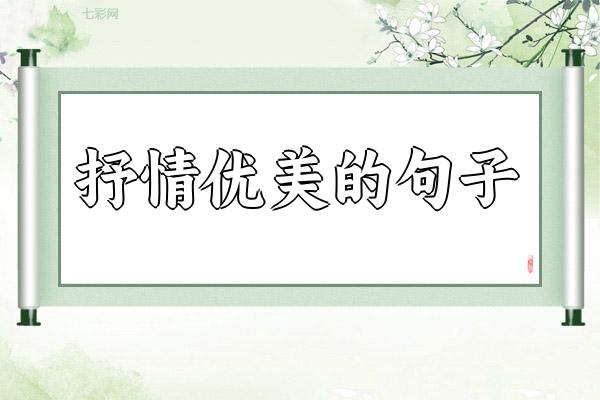 抒情优美的句子