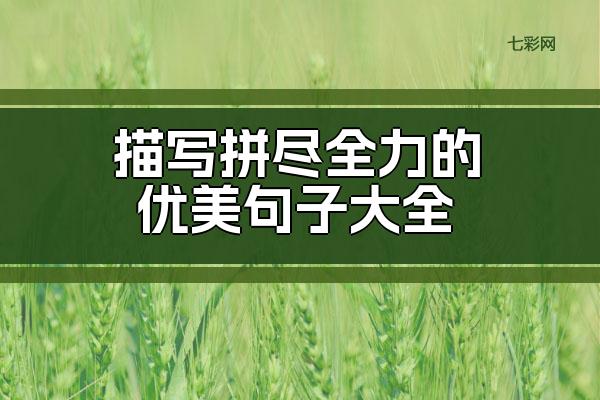 描写拼尽全力的优美句子