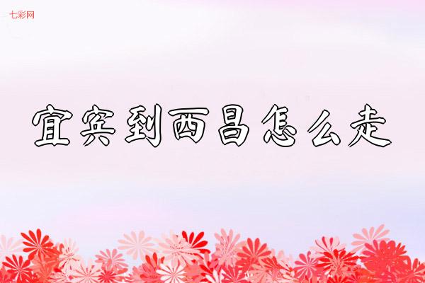 宜宾到西昌怎么走？