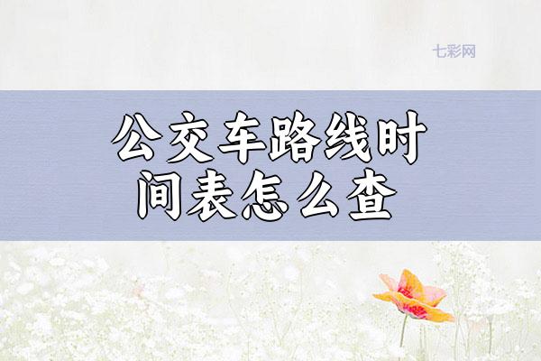 公交车路线时间表怎么查？